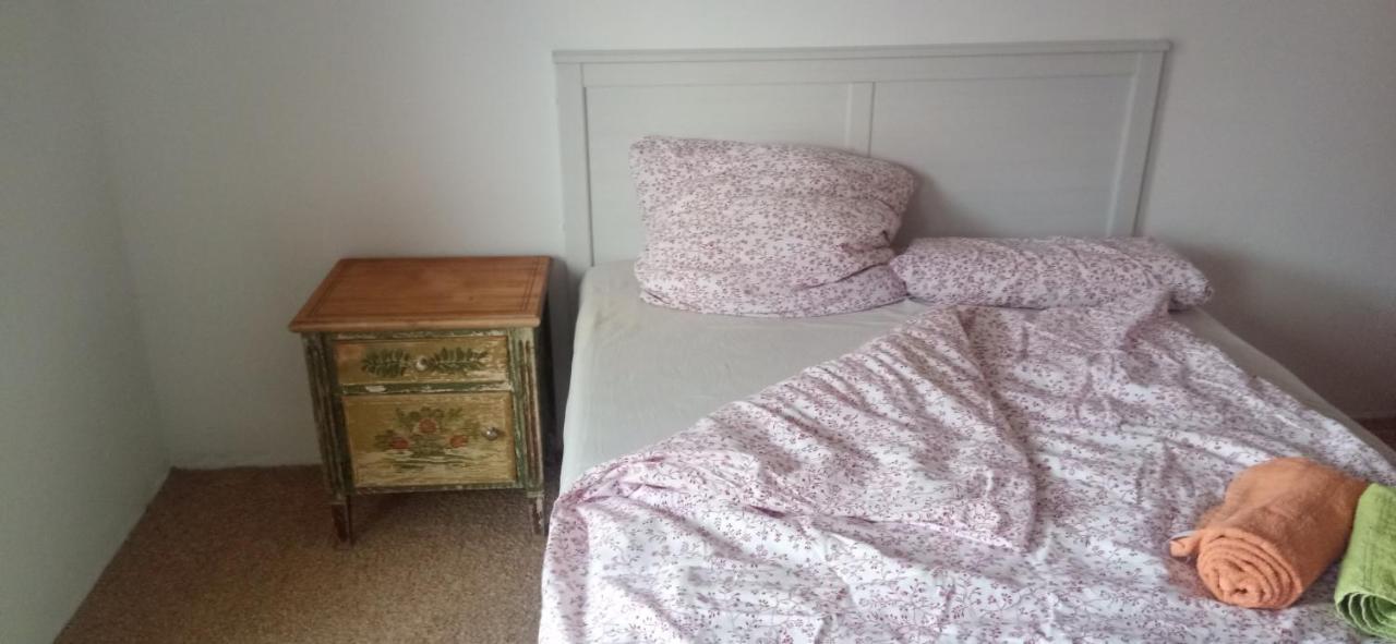 Grosses Zimmer Bad Kueche Wohnzimmer Terasse Garten Zentral Ruhig ランツベルク・アム・レヒ エクステリア 写真